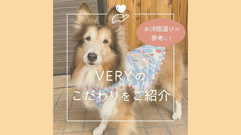 犬服VERYのこだわりをご紹介 | VERY-PET