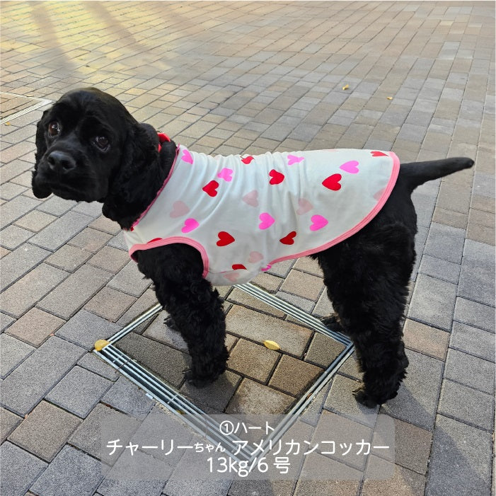 ♥エリちゃぁぁぁん様♥ 逃げ出し