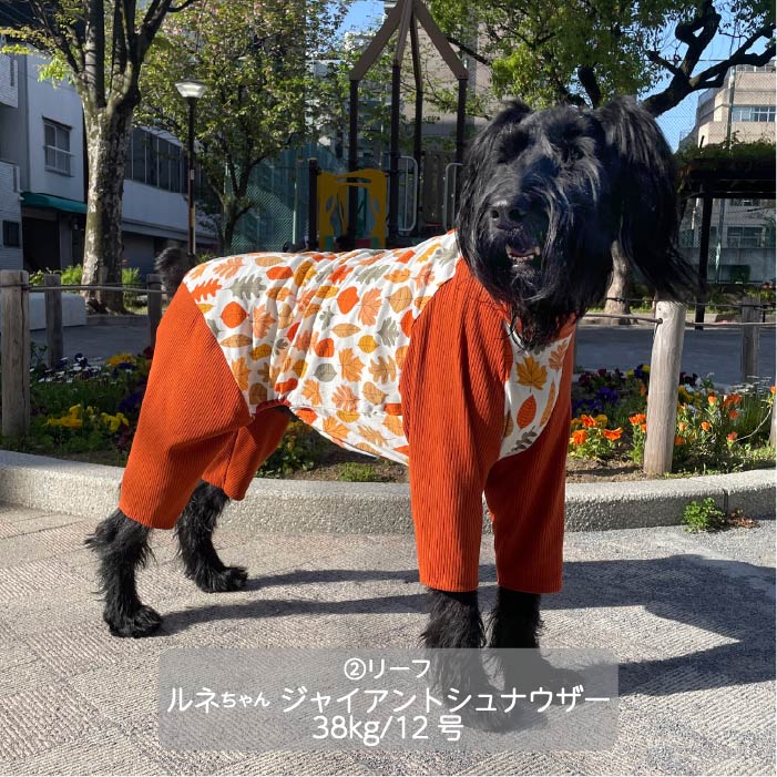 Web限定ボタニカルプリントカバーオール 大型犬 - VERY-PET