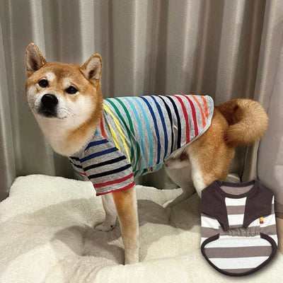 Web限定ボーダーTシャツ2 中型犬 - VERY-PET