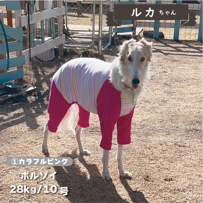 【Web限定】ボーダーカバーオール 大型犬 - VERY-PET