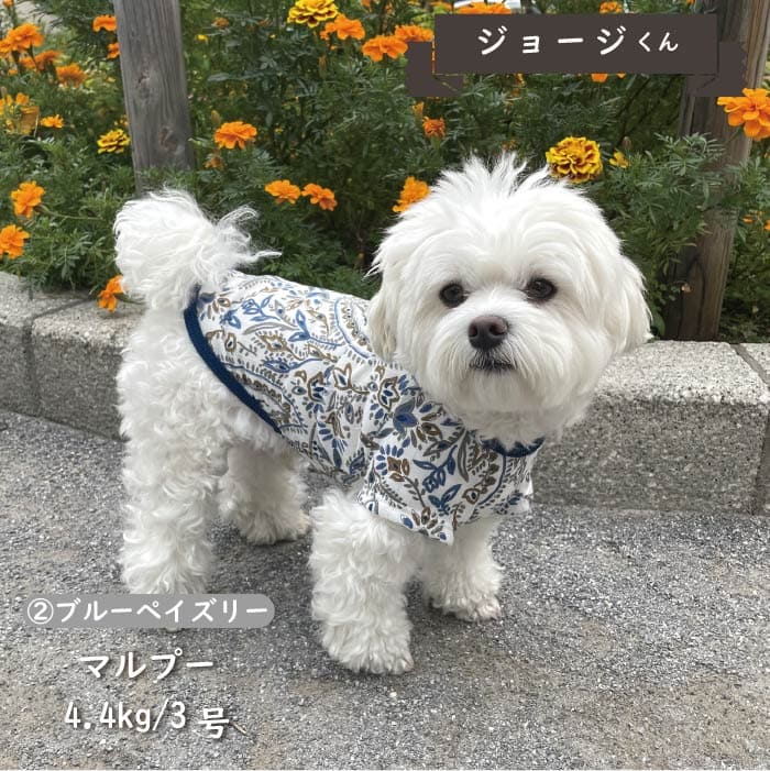 Web限定ペイズリープリントTシャツ 小型犬・胴長・ダックス - VERY-PET