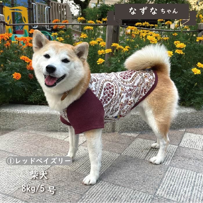 Web限定ペイズリープリントTシャツ 小型犬・胴長・ダックス - VERY-PET