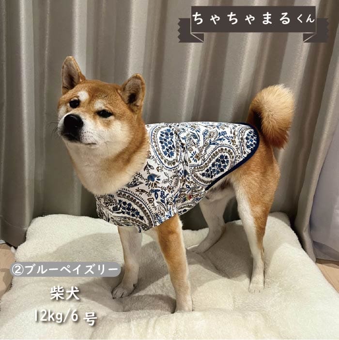 Web限定ペイズリープリントTシャツ 中型犬 - VERY-PET