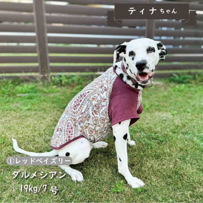 Web限定ペイズリープリントTシャツ 中型犬 - VERY-PET