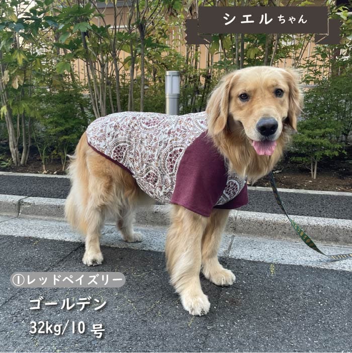 Web限定ペイズリープリントTシャツ 大型犬 - VERY-PET