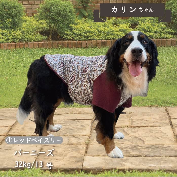 Web限定ペイズリープリントTシャツ 超大型犬 - VERY-PET