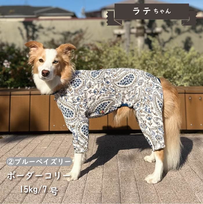 Web限定ペイズリープリントカバーオール 中型犬 - VERY-PET