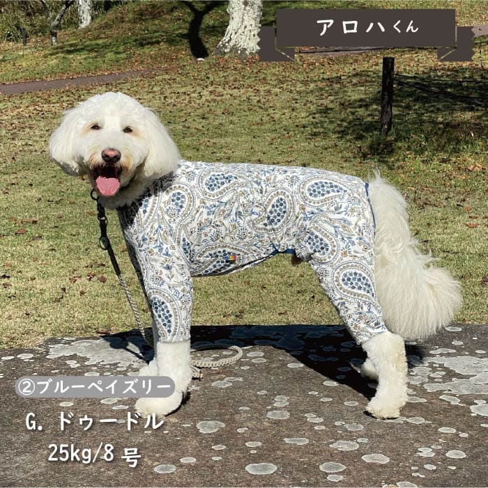 Web限定ペイズリープリントカバーオール 大型犬 - VERY-PET