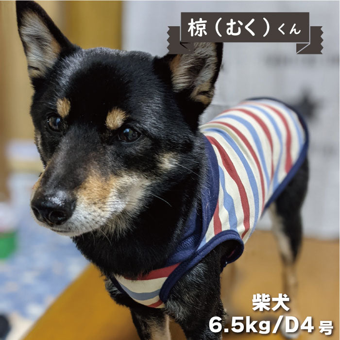 【30% OFF<br>ボーダーフードタンク　小型犬 - VERY-PET