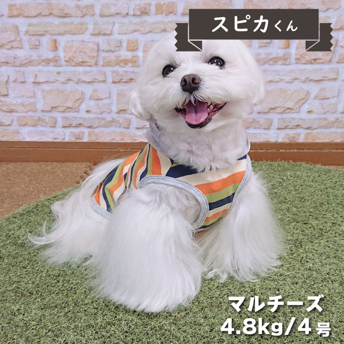 【30% OFF<br>ボーダーフードタンク　小型犬 - VERY-PET