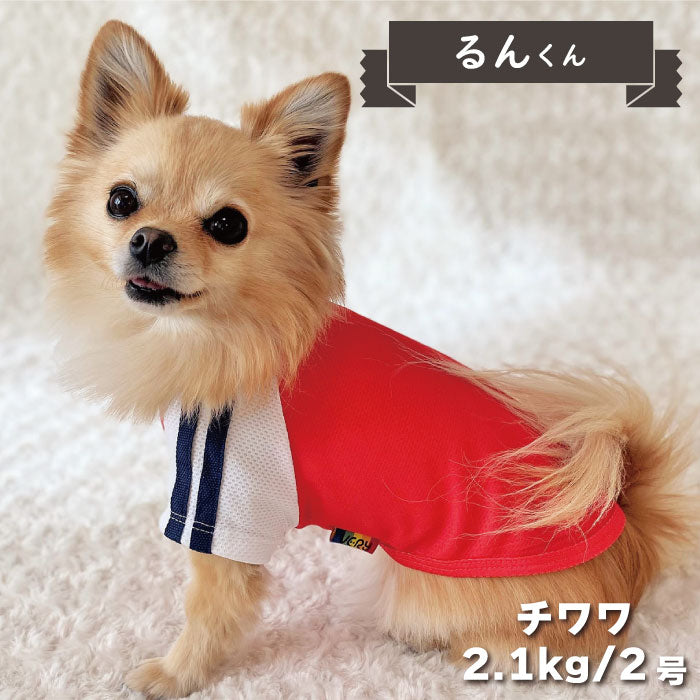 4色展開<br>COOLジャージ風Tシャツ 小型犬・胴長・ダックス - VERY-PET