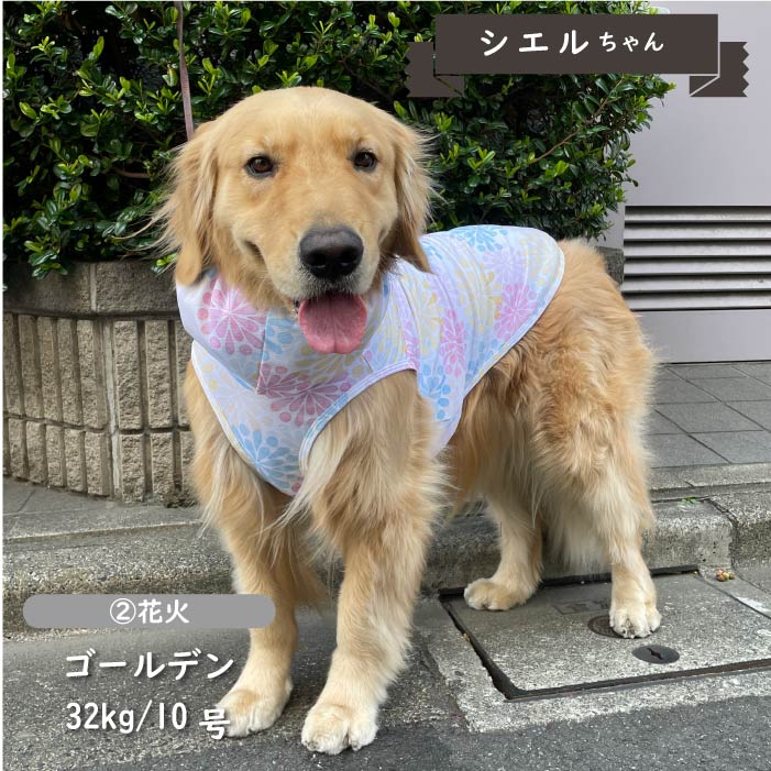 <font color="red">【先行予約】</font><br>フード付き クールプリントタンク 大型犬【接触冷感&濡らして冷たい】 - VERY-PET