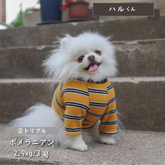 ストレッチボーダーロングTシャツ 小型犬・胴長 - VERY-PET