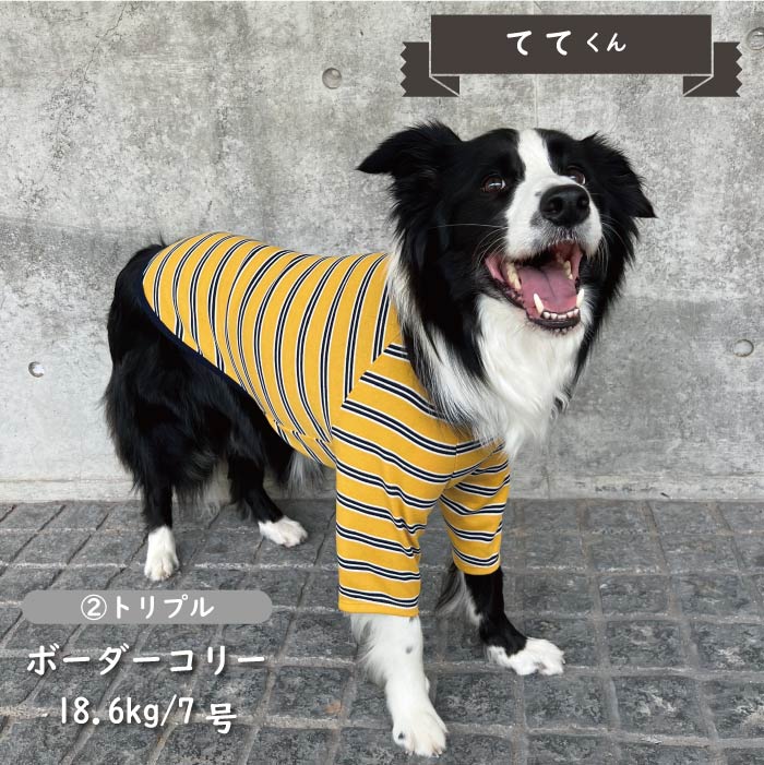 ストレッチボーダーロングTシャツ 中型犬 - VERY-PET