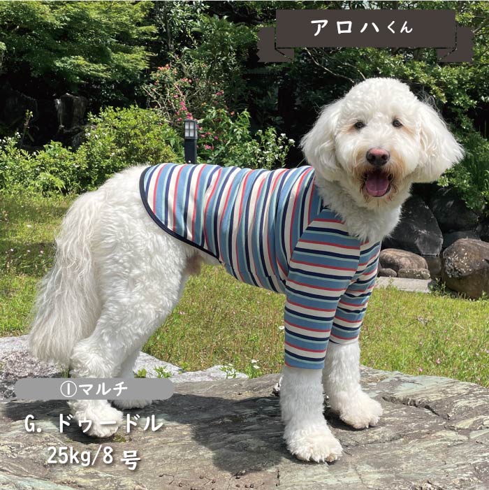 ストレッチボーダーロングTシャツ 大型犬 - VERY-PET