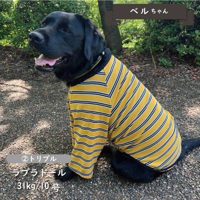 ストレッチボーダーロングTシャツ 大型犬 - VERY-PET