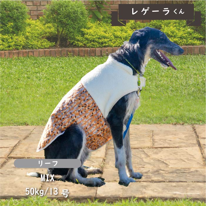 裏ボアキルトコート 超大型犬 - VERY-PET