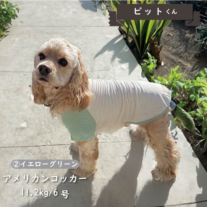 接触冷感&濡らして冷たい<br>カラーブロッククールTシャツ 中型犬・コーギー - VERY-PET
