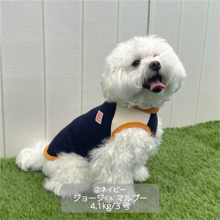 <font size="3">小型犬・胴長・ダックス</font> <br>裏ボアタンク