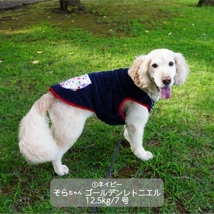 <font size="3">中型犬</font> <br>コラボレーションタンク