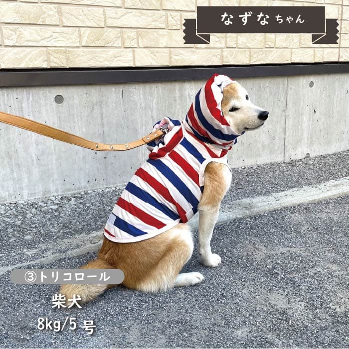 ストレッチレインコート 小型犬・胴長・ダックス - VERY-PET