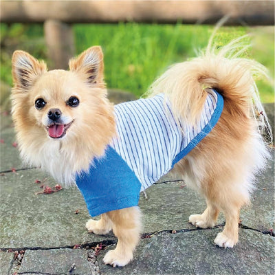 Web限定ボーダーTシャツ 1 小型犬・胴長・ダックス - VERY-PET
