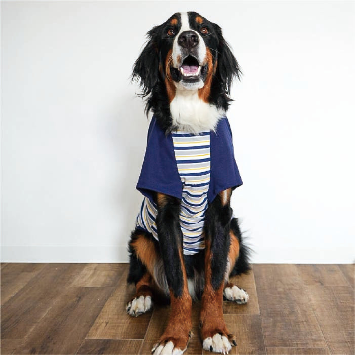 Web限定ボーダーTシャツ 1 大型犬 - VERY-PET