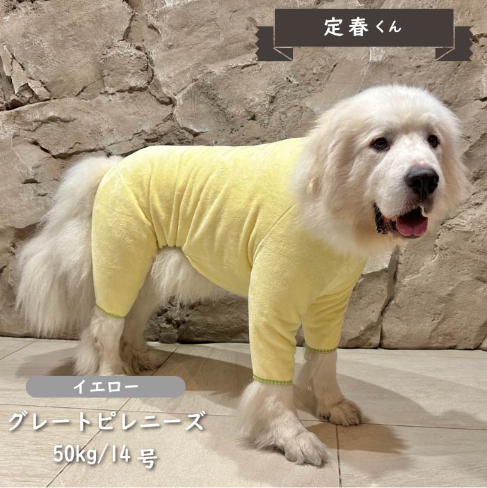 刺繍入りボアカバーオール 超大型犬 - VERY-PET