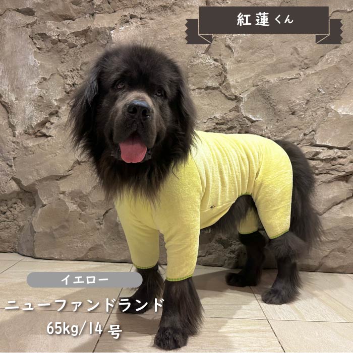 刺繍入りボアカバーオール 超大型犬 - VERY-PET