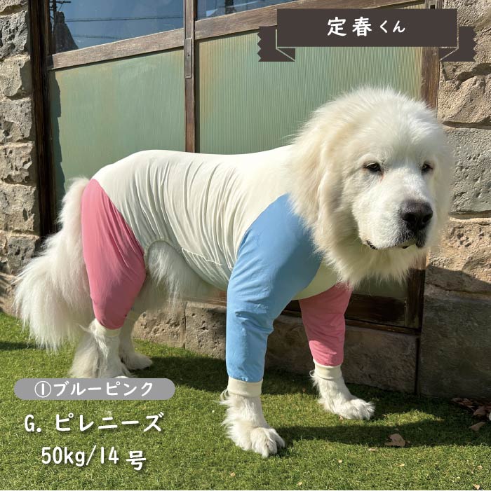 接触冷感&濡らして冷たい<br>カラーブロッククールカバーオール 超大型犬 - VERY-PET
