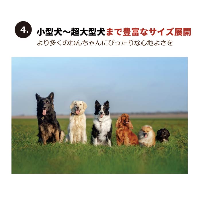 <font size="3">大型犬</font><br>ストレッチカバーオール