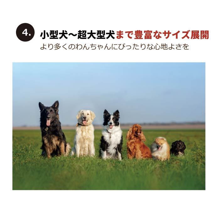 <font size="3">小型犬・胴長</font><br>ニットフード付カバーオール