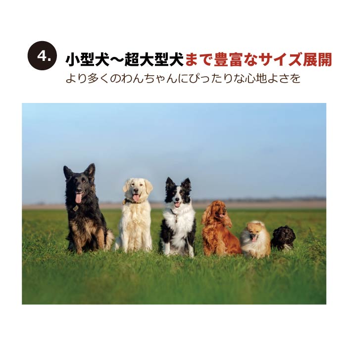 <font size="3">小型犬・胴長</font><br>ポケット付ボアカバーオール