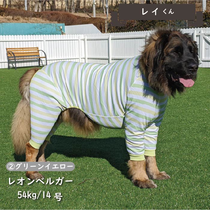 30％OFFセール超大型犬 Web限定接触冷感&濡らして冷たいクールボーダーカバーオール VERY-PET