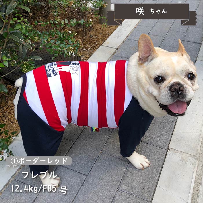【盲導犬 サポート カバーオール】 小型犬 - VERY-PET