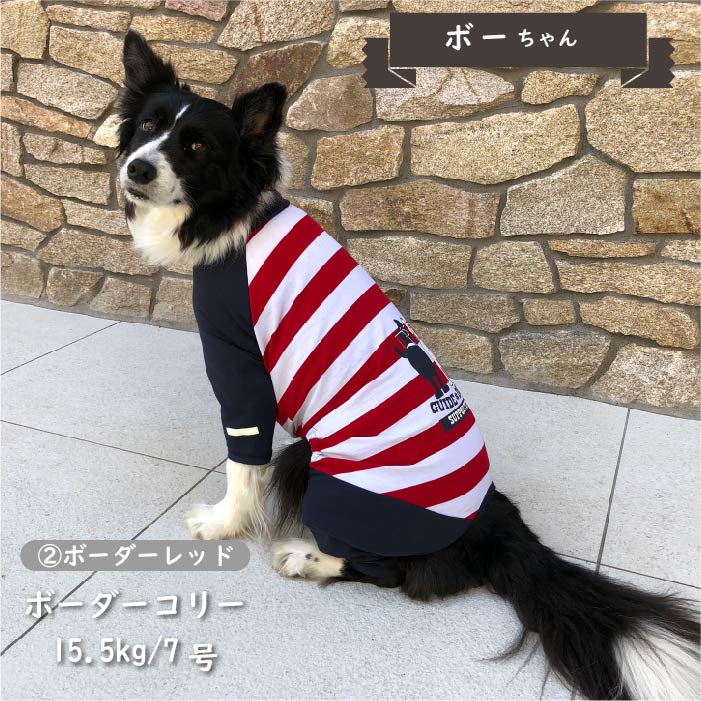 【盲導犬 サポート カバーオール】 中型犬 - VERY-PET