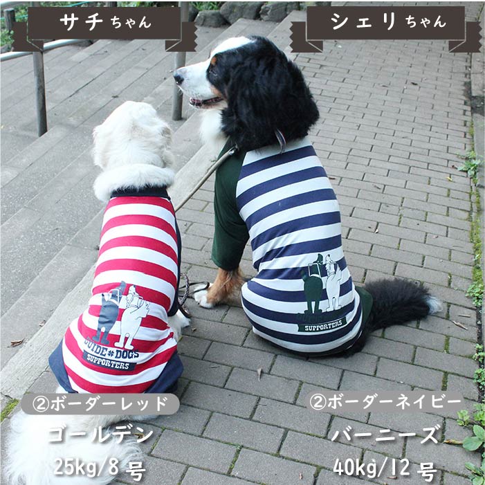 【盲導犬 サポート カバーオール】 大型犬 - VERY-PET
