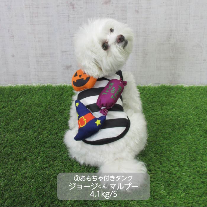 <font size="3">小型犬</font> <br>ハロウィンコスチューム 選べる5種類