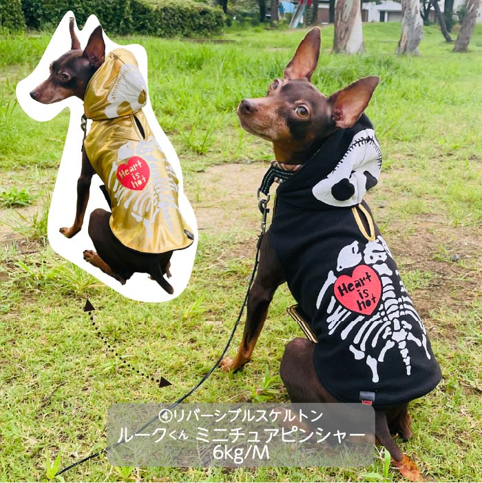 <font size="3">小型犬</font> <br>ハロウィンコスチューム 選べる5種類