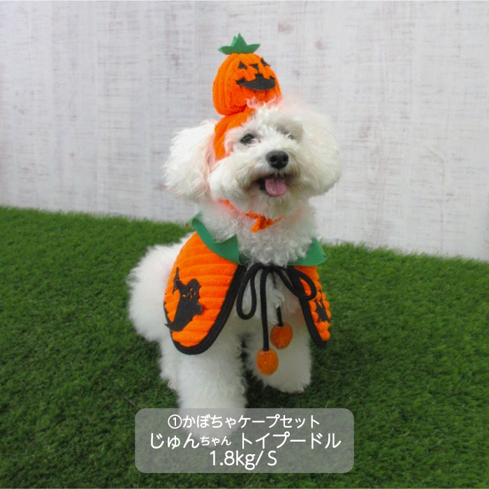 <font size="3">小型犬</font> <br>ハロウィンコスチューム 選べる5種類