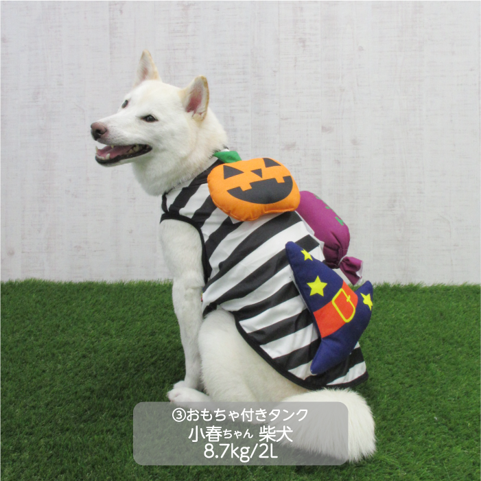 <font size="3">中型犬</font> <br>ハロウィンコスチューム 選べる4種類