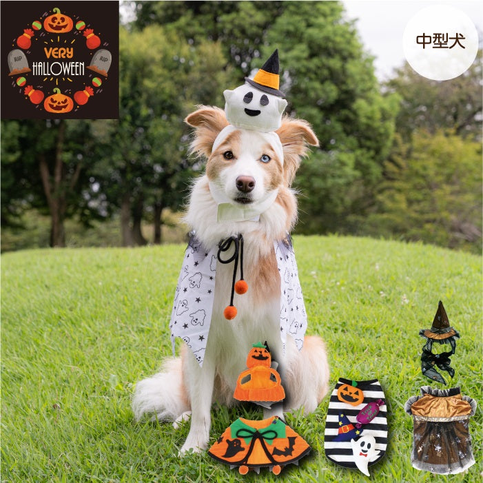 <font size="3">中型犬</font> <br>ハロウィンコスチューム 選べる4種類