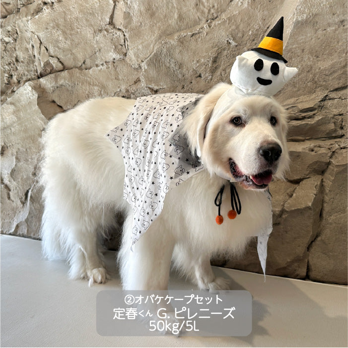 <font size="3">超大型犬</font> <br>ハロウィンコスチューム 選べる3種類