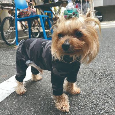 【Web限定】ストレッチカバーオール 小型犬・胴長足長 - VERY-PET