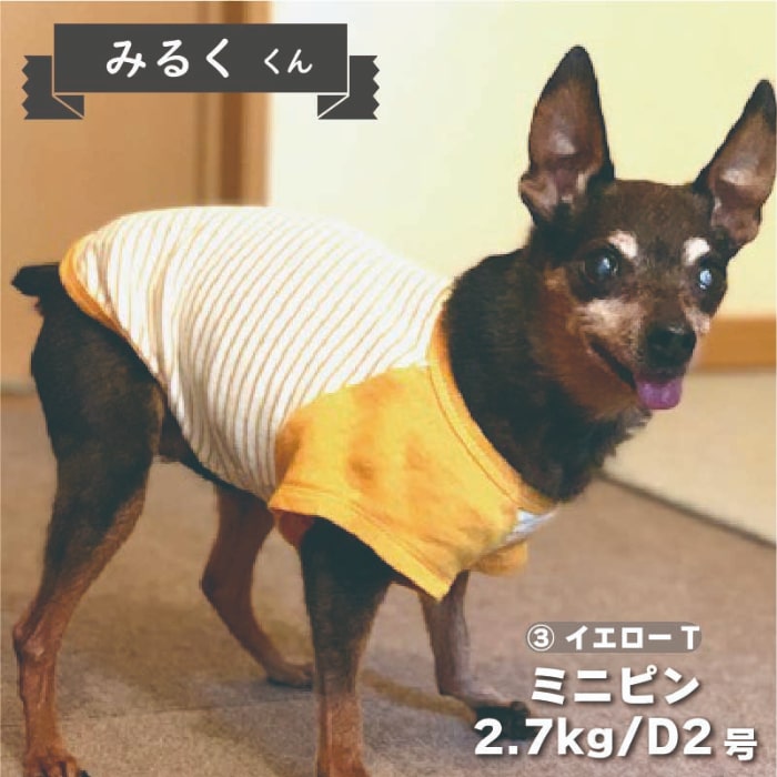 Web限定ボーダーTシャツ 2 - VERY-PET