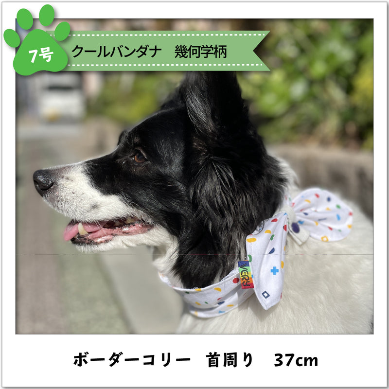 犬 服 中型犬 大型犬 クールバンダナ 【VERY】 - VERY-PET