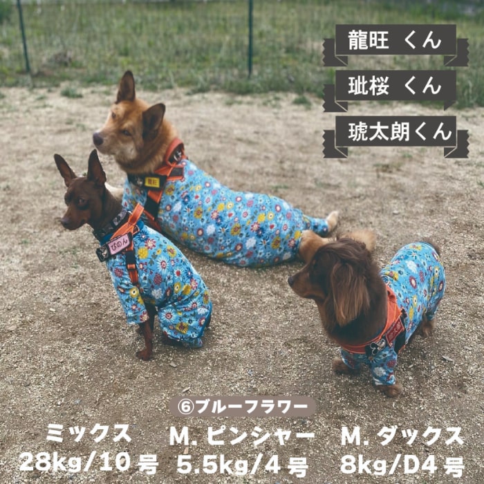 Web限定プリントカバーオール 大型犬用 - VERY-PET