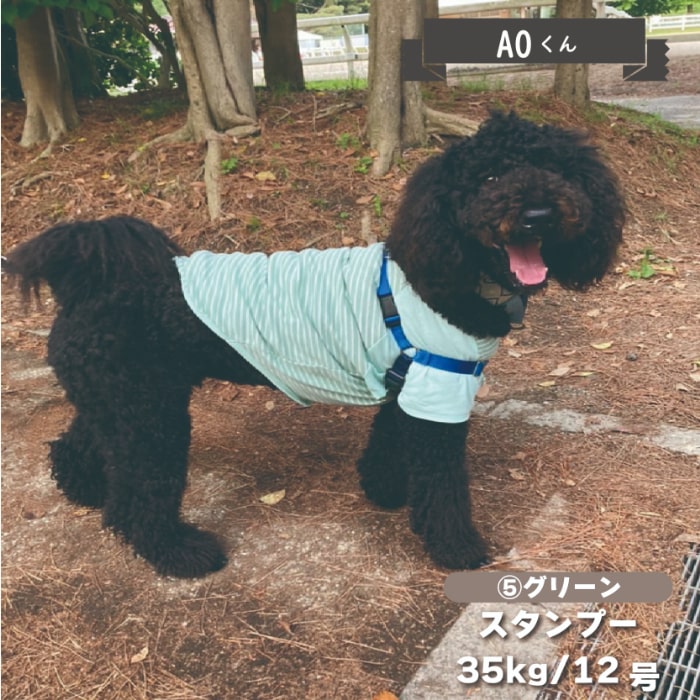 Web限定ボーダーTシャツ 1 大型犬 - VERY-PET