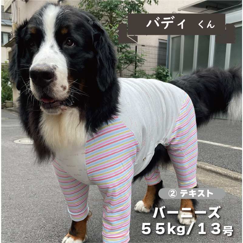 Web限定プリントカバーオール 超大型犬用 - VERY-PET